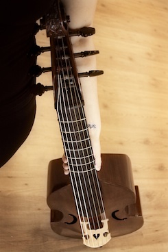 standingviolsm